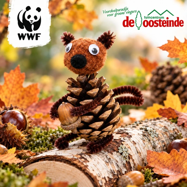 7 november: creatieve middag met WWF in Vijfhuizen